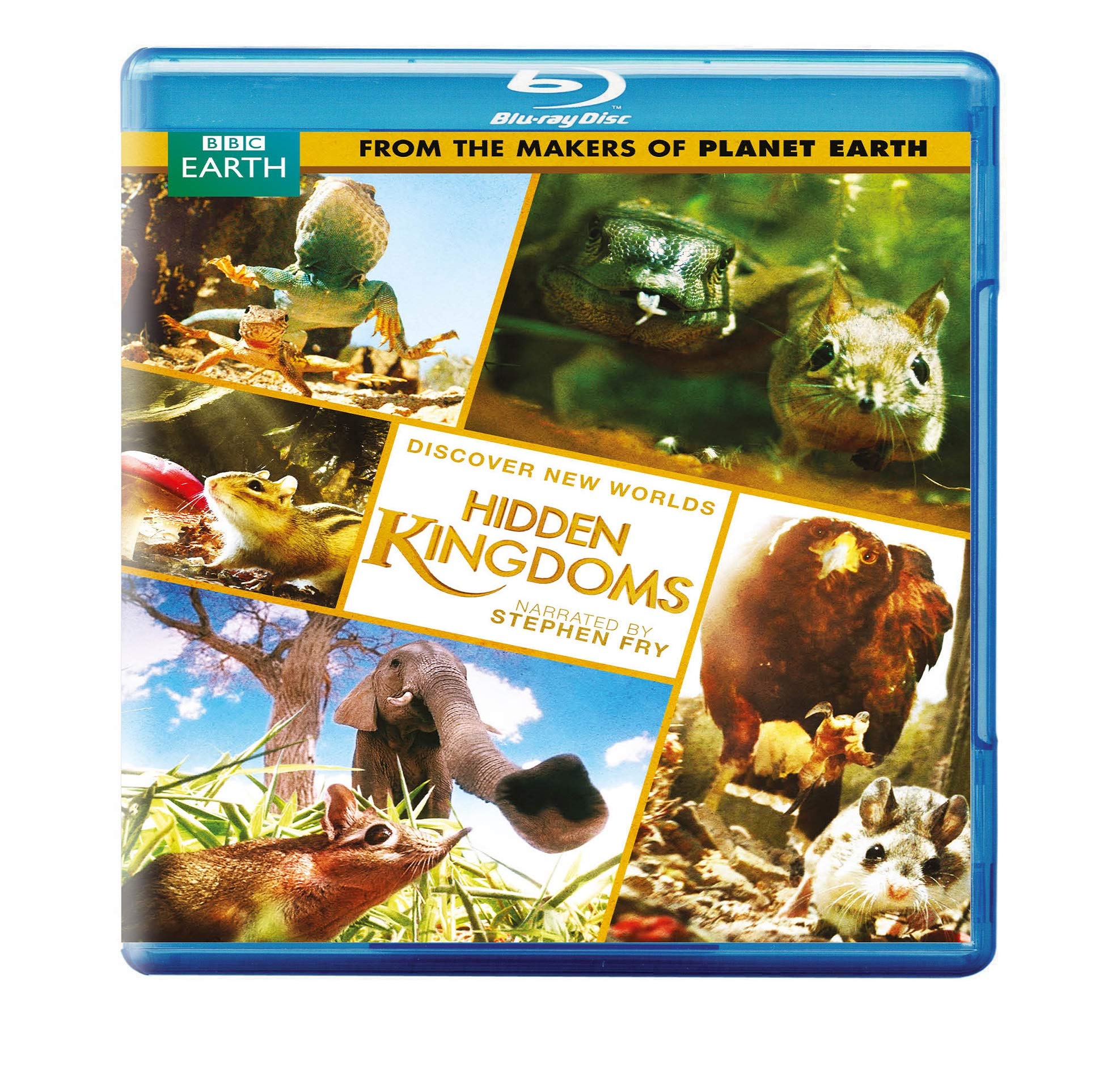 Image 0 of Hidden Kingdoms (Original UK Version of Discovery’s Mini Monsters) (BD) [Blu-r