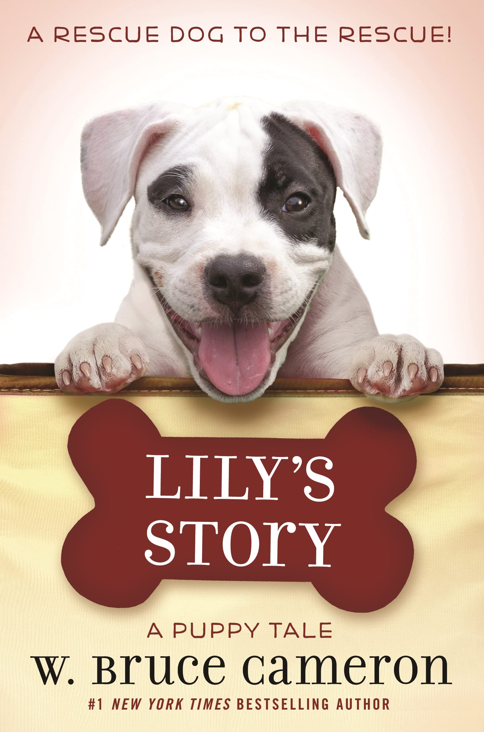 Image 0 of Lily's Story (A Puppy Tale)